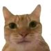 Ronald Calles - Facebook