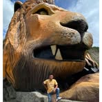 Ronald Camacho - Facebook