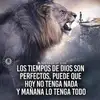 El panter catracho - @ronaldcanales486 - TikTok