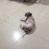 Ronald Canlas - @ronaldcanlas2 - TikTok