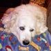 Ron Carruthers - Facebook