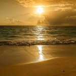 ronald chacon - @ronaldchacon73 - Instagram