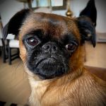 Ronald Champion - @ronald.champion - Instagram