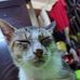 Ron Xavier - Facebook