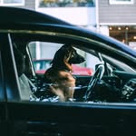 ronald clapp - @dogged_delivery - Instagram