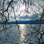Ronald Clardy - @ronald.clardy - Instagram