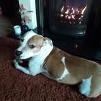 Ronnie Clegg - Facebook
