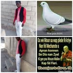 Ronald Colin - @ronaldcolin1 - Instagram