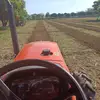 mavv - @ronaldcoloma79 - TikTok