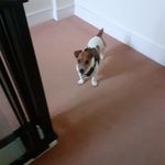 Scott Comerford - @ronaldo_better_messi - Instagram