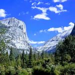 Ronald Connor - @fins67 - Instagram