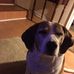 Ronald Conte - Facebook