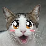 Ronald Cool Miaw - @rio_budiono_ - Instagram