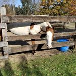 Ronald Cottrell - @ronaldcottrell9359 - Instagram