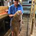 Ronald Crabbe - Facebook