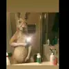 Ronald Crispin - @ronaldcrispin626 - TikTok