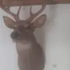 Ronald Crites - @ronald.crites - TikTok