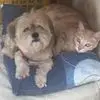 Ronald Cubas - @ronald.cubas7 - TikTok
