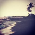 Ronald Cutright - @oscartone - Instagram
