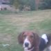 Ronald Dafoe - Facebook