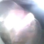 Ronald Deckard - @ronald.deckard.5437 - Instagram