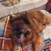 Ronald Delp - Facebook