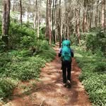 Dendy Ronaldy  y - @dendyronaldy - Instagram