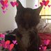 Ron Dendy - Facebook
