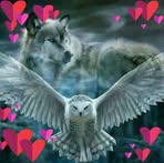 Ronald De Wolf - Facebook