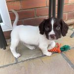 Ronald Dooley - @starledron - Instagram