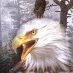 Ronald Eagles - @ronald_eagles - Instagram