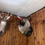 Ron Easterling - @ronald.easterling.3 - Instagram