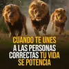 RONALD EDWIN - @ronaldedwin246803 - TikTok