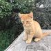 Ronald E. S. Embree - Facebook