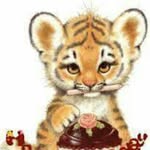 Tiger - @ronaldachimeberhardt - Instagram