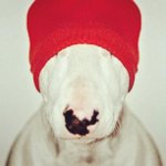 Ronald Estes - @woestas - Instagram