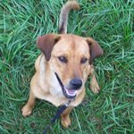 Ronald Fallon - @selltrustblogger - Instagram