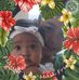 Ronald Feckler - Facebook