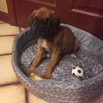 Ronald Feldkamp - @ronaldfeldkamp - Instagram