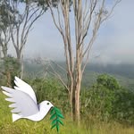 Ron Fenner - @ronaldfenner795 - Instagram