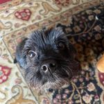 Ronald Field - @fieldster70 - Instagram