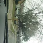 ronald fields - @ronaldfields8531 - Instagram