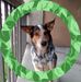 Ronald Fields - Facebook