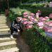 Ronald Foo - Facebook