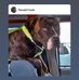 Ronald Foote - Facebook