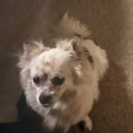 Ronald Foreman - Facebook