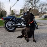 Ronald Friend - @friendronald - Instagram