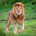 Ronald Gentle - Facebook