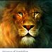 Ronald Gentle - Facebook