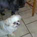 Ronald Mark Gilpin - Facebook